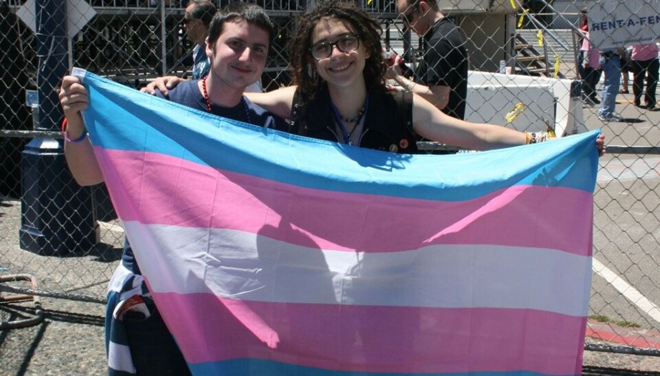 Sommerleir for trans