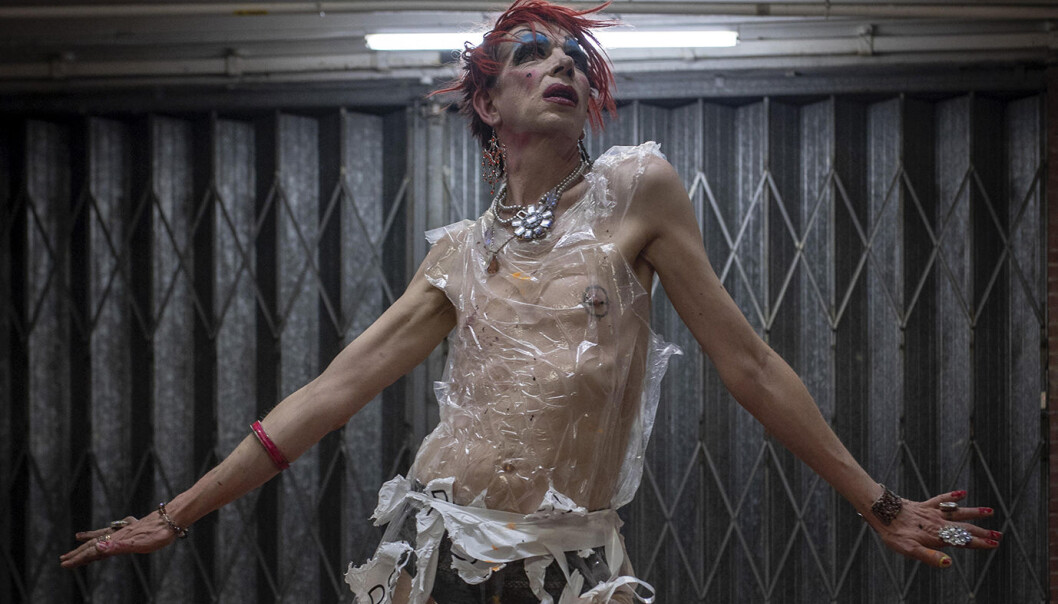 David Hoyle. David Hoyle.