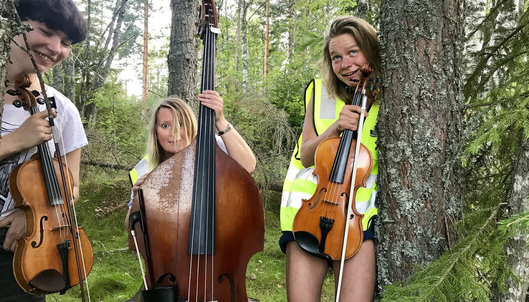 Sjarkheim Spelekvinnskvartett. Foto: Mattias Cyvin Storaas. Sjarkheim Spelekvinnskvartett. Foto: Mattias Cyvin Storaas.