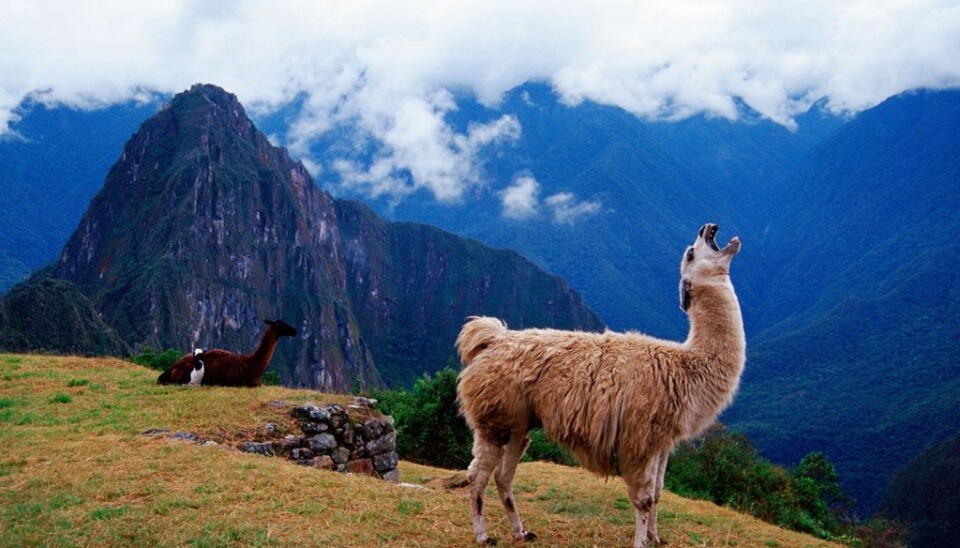 Peru i et nøtteskall