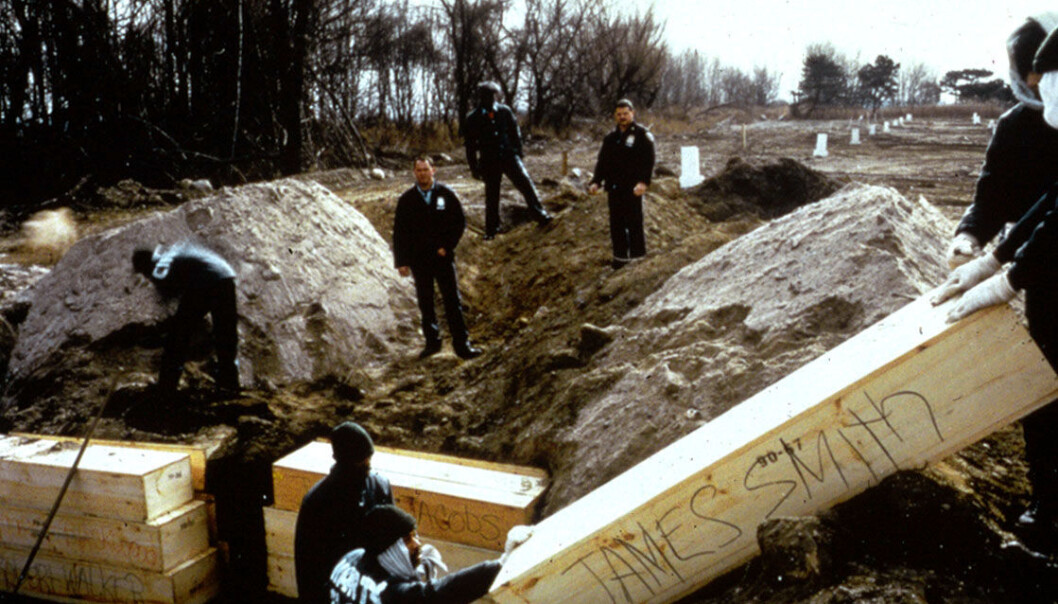 Fanger fra nærliggende Riker’s Island sto for gravleggingsarbeidet. Voksne legges i furubokser som så stables med opptil tre i høyden og to i bredden. Fanger fra nærliggende Riker’s Island sto for gravleggingsarbeidet. Voksne legges i furubokser som så stables med opptil tre i høyden og to i bredden.