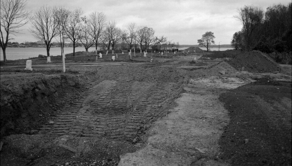 Hvert år blir mer enn tusen mennesker gravlagt på Hart Island. 
Her er en planlagt massegrav fra 1993.