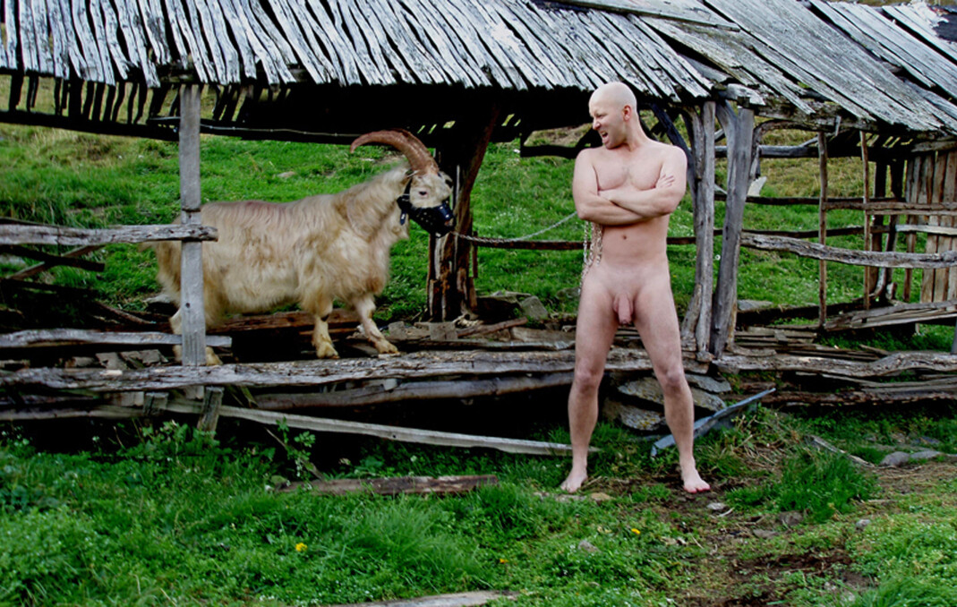 Bildet «Animal Alpha» ble tatt på Gjert Rognlis seter oppe i Manndalen. – Bildet viser mitt forhold, som veganer, til kjøtt og forholdet mitt til dyrehold og velferd. Men bildet skal fortelle sin egen historie, ikke min. Bildet «Animal Alpha» ble tatt på Gjert Rognlis seter oppe i Manndalen. – Bildet viser mitt forhold, som veganer, til kjøtt og forholdet mitt til dyrehold og velferd. Men bildet skal fortelle sin egen historie, ikke min.