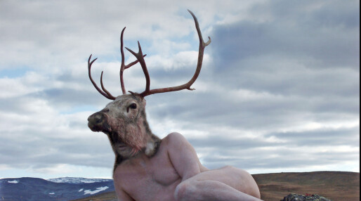 Skeiv samisk kunst på Nord-Troms Pride