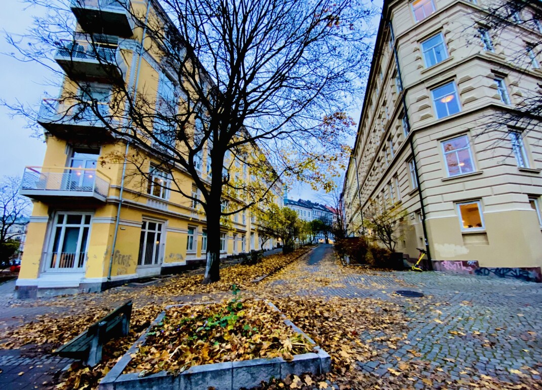 Ruth Maiers plass ligger i krysset Glückstads gate/Dovregata/Krumgata i Oslo. Ruth Maiers plass ligger i krysset Glückstads gate/Dovregata/Krumgata i Oslo.