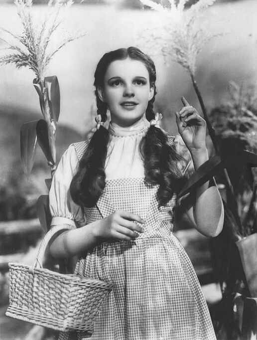 Uttrykket «Is she a friend of Dorothy?», stammer fra den første av Oz-bøkene til fantasy-forfatteren L. Frank Baum, «Road to Oz» (1906). Der sier Polychrome the Rainbow’s daughter til Dorothy «You have some queer friends, og Dorothy svarer «The queerness doesn’t matter, so long as they’re friends!» Uttrykket «Is she a friend of Dorothy?», stammer fra den første av Oz-bøkene til fantasy-forfatteren L. Frank Baum, «Road to Oz» (1906). Der sier Polychrome the Rainbow’s daughter til Dorothy «You have some queer friends, og Dorothy svarer «The queerness doesn’t matter, so long as they’re friends!»