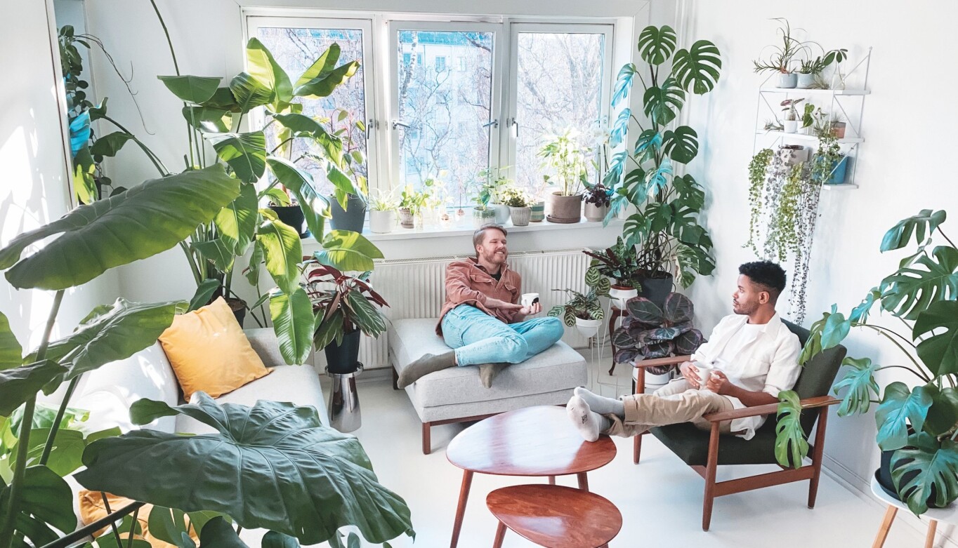 Andreas Qvale Hovland (t.v.) og Daniel Rodrigo Qvale driver Instagram-profilen Plant Papis. Der deler de bilder av egne planter, og videoer med tips om stell, stiklinger og plantetrivsel. Andreas Qvale Hovland (t.v.) og Daniel Rodrigo Qvale driver Instagram-profilen Plant Papis. Der deler de bilder av egne planter, og videoer med tips om stell, stiklinger og plantetrivsel.