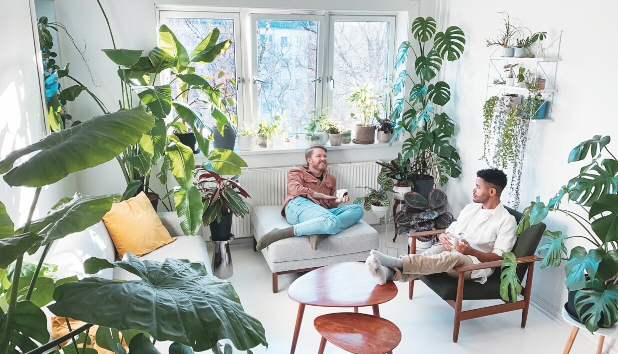 Andreas Qvale Hovland (t.v.) og Daniel Rodrigo Qvale driver Instagram-profilen Plant Papis. Der deler de bilder av egne planter, og videoer med tips om stell, stiklinger og plantetrivsel.