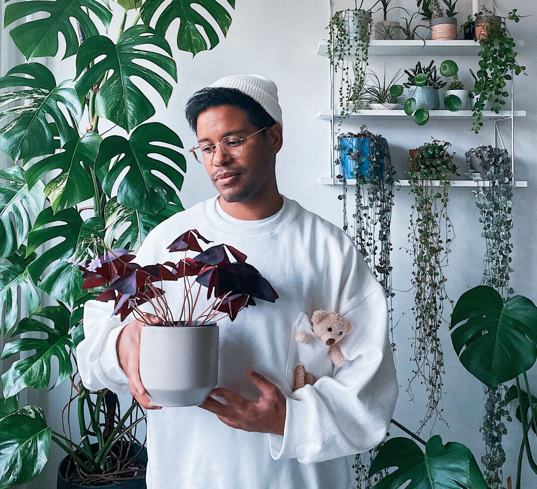 – Stiklinger er også en fantastisk måte å bli kjent med en plante på og se om den liker deg tilbake, sier Daniel til Blikk. – Stiklinger er også en fantastisk måte å bli kjent med en plante på og se om den liker deg tilbake, sier Daniel til Blikk.