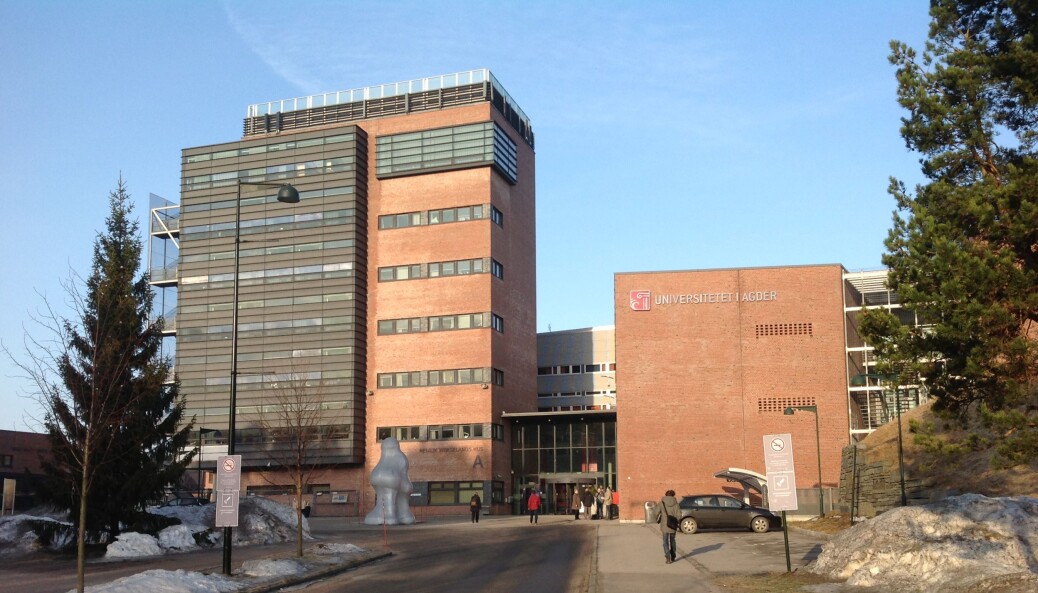 Universitetet i Agder. Universitetet i Agder.