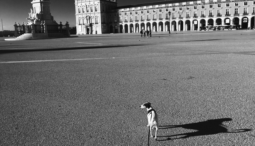 Børge Skråmestø og hunden Stella har ofte trålet gatene i Lisboa. I fjor påske måtte han bruke fantasien for å oppleve den portugisiske hovedstaden. Ut av den imaginære turen kom reiseskildringen «Tilbake til Lisboa og trappene i Sankt Crispin».