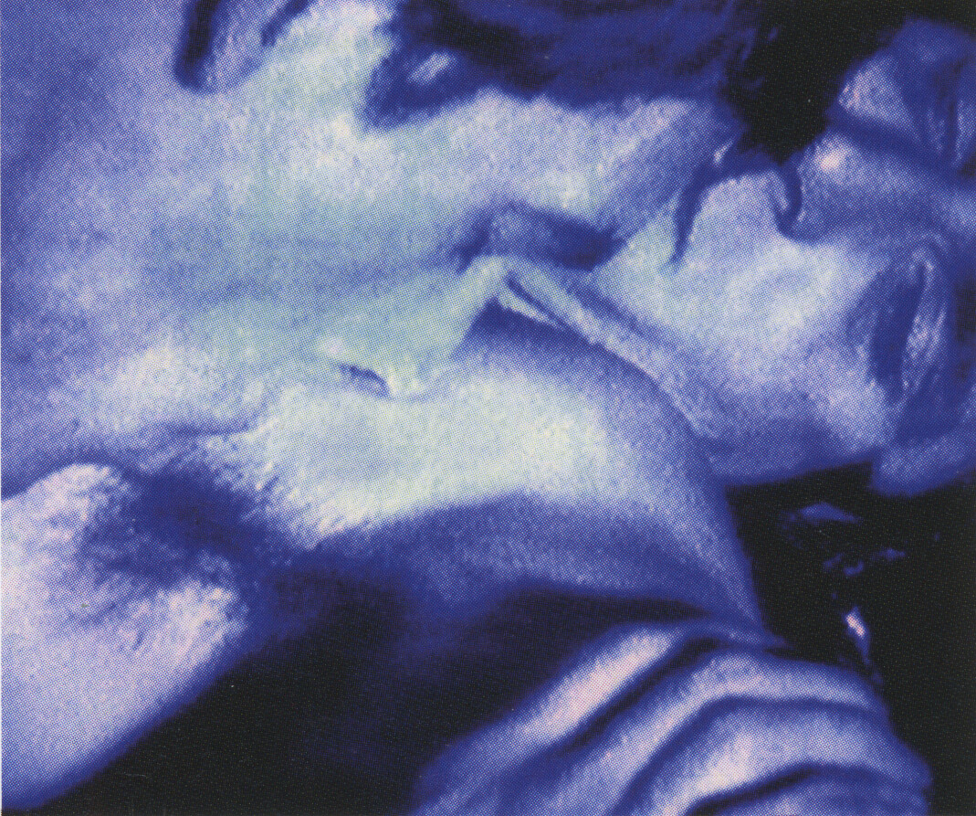 «When I Put My Hands on Your Body» er et videoverk fra 1989 av Marion Scemama og David Wojnarowicz. Wojnarowicz døde av aids i 1992. «When I Put My Hands on Your Body» er et videoverk fra 1989 av Marion Scemama og David Wojnarowicz. Wojnarowicz døde av aids i 1992.