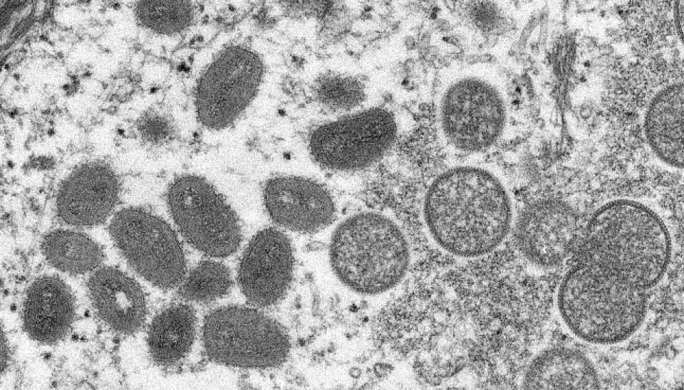 Apekopper er en variant av koppeviruset, men er langt mindre dødelig. Sykdommen er vanligvis mild, og de fleste smittede vil bli friske uten behandling i løpet av noen uker, ifølge FHI.