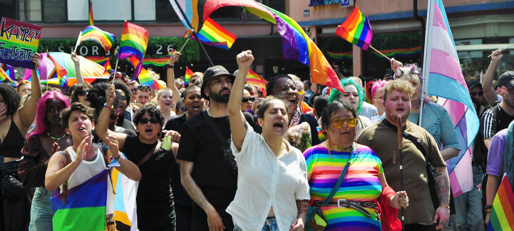 Ønsker regjeringsinitiativ mot homofobi, rasisme og islamofobi