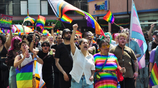 Ønsker regjeringsinitiativ mot homofobi, rasisme og islamofobi