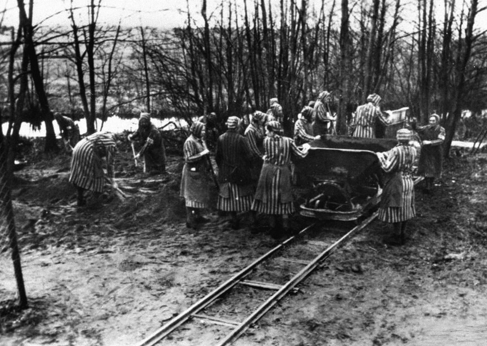 Omkring 132 000 kvinner og barn ble sendt til Ravensbrück i årene 1939–1945, i tillegg til 20 000 menn. Fangene i Ravensbrück kom fra 40 ulike nasjoner. Titusenvis ble drept eller døde av sult, sykdom eller medisinske eksperimenter. Det var 103 norske fanger i leiren.
