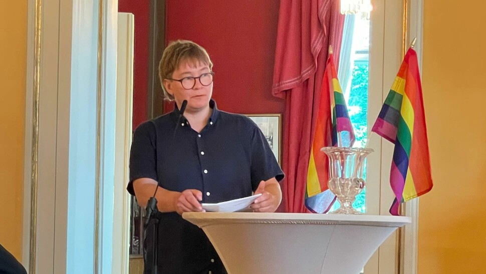– Et lite lysglimt i det vonde som har skjedd er at den skeive bevegelsen blir lyttet til, og at vi i den skeive bevegelsen søker sammen for å finne løsninger. Nå er vi mer samlet, mer synlig, stoltere og sterkere enn noen gang, sa Inger Kristin Haugsevje, leder i Oslo Pride under dialogmøtet mellom regjeringen og de skeive organisasjonene fredag 1. juli.
