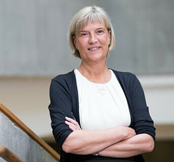 Kommunedirektør i Kristiansand kommune, Camilla B. Dunsæd. Kommunedirektør i Kristiansand kommune, Camilla B. Dunsæd.