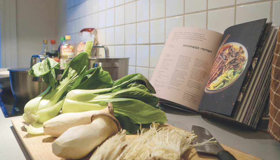 Veganergutta har skrevet en jovial kokebok. Lett og tilgjengelig i formen. Den starter på null og tar leseren med gjennom parets egen utvikling. Oppskriften på deilig vegansk nudelsuppe er en av de mange de deler.