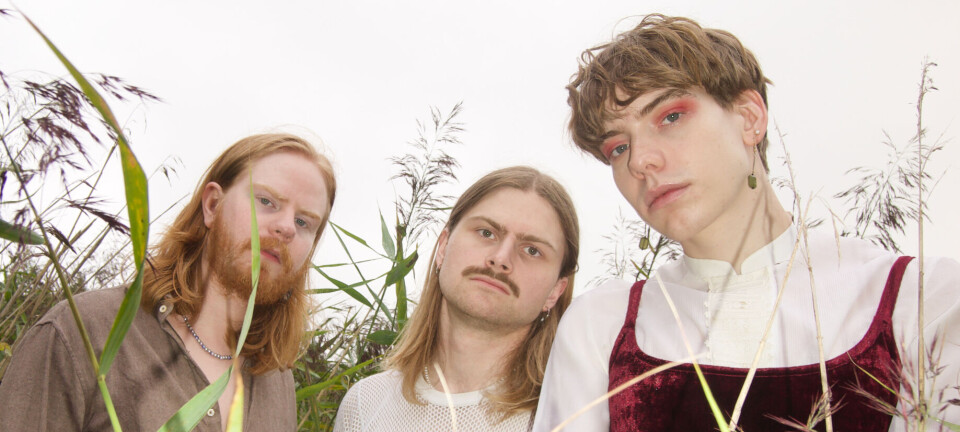 Rosa Faenskap vil drive purister til vanvidd