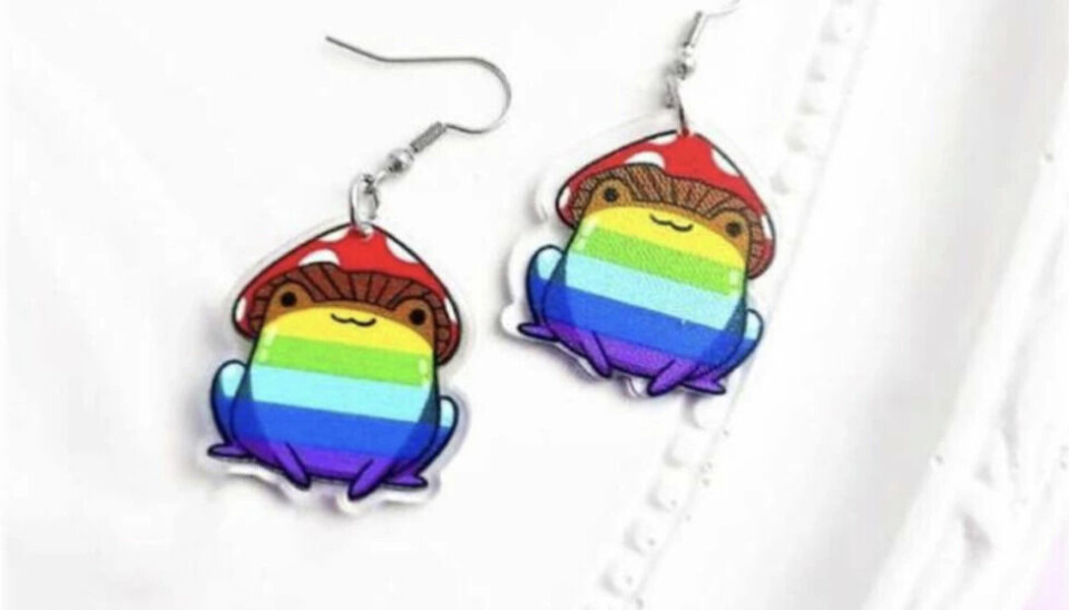 Arrestert for prideøredobber