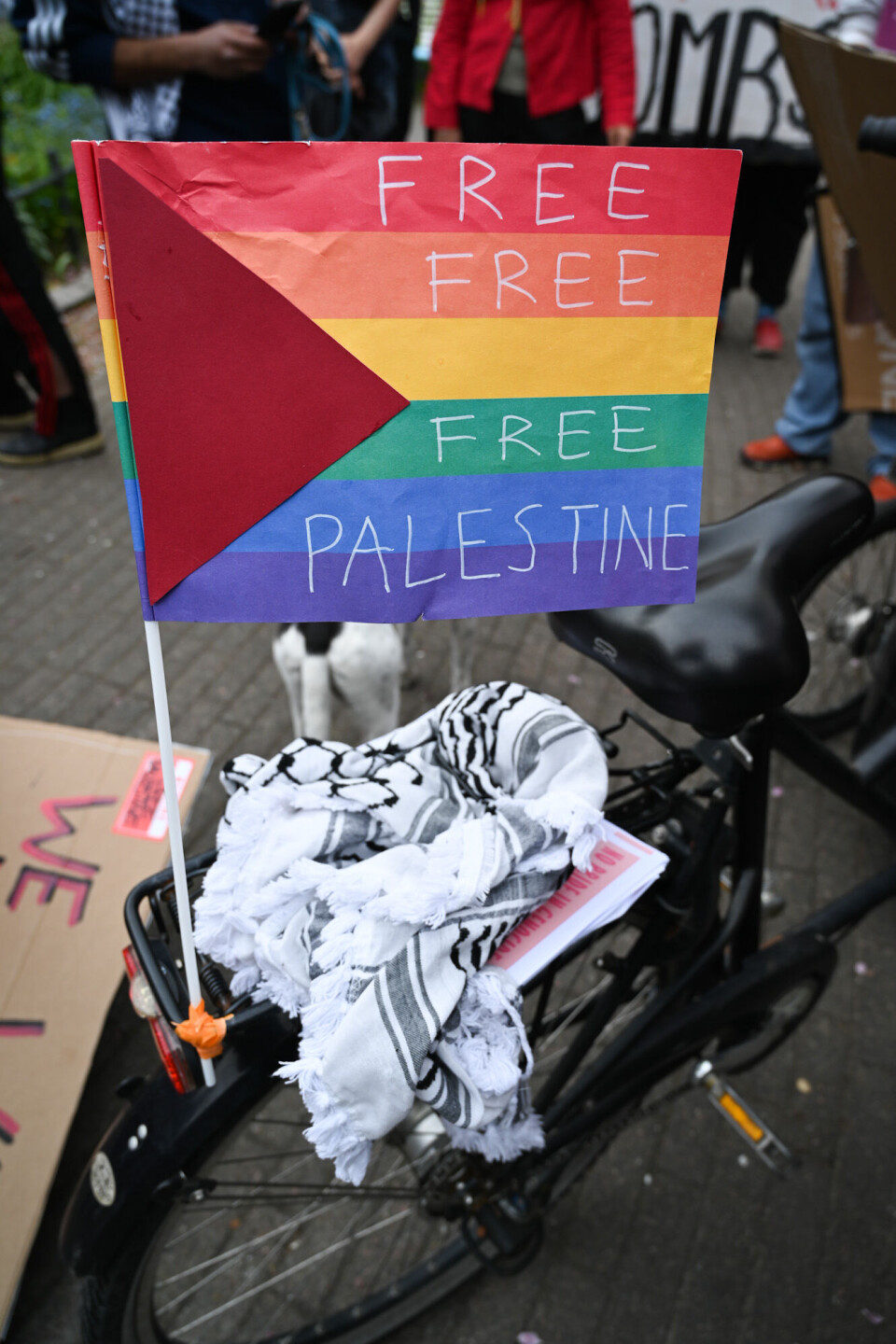 Skeive Eurovision-fans demonstrerer mot folkemord