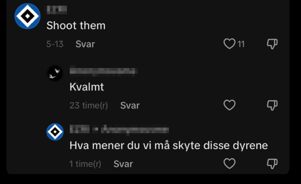 – Heldigvis er jeg en voksen mann, og klarer å se mellom fingrene på disse kommentarene. Men hva om jeg var Henrik 13. år? Jeg tror neimen ikke han hadde takla det noe særlig bra. Henrik 29 år, har dessverre også begynt å kjenne på en uro. Og det hater jeg.