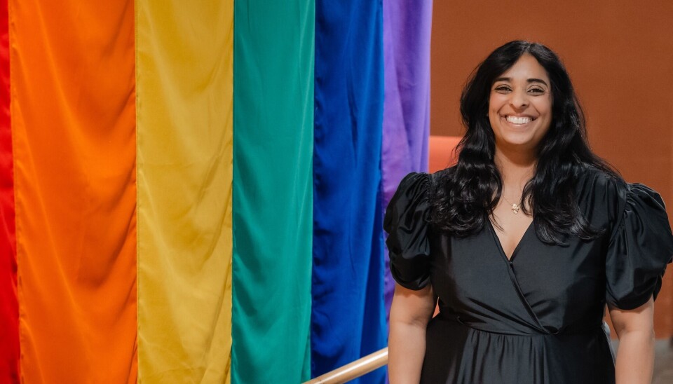 Lubna Jaffery, Kultur- og likestillingsminister