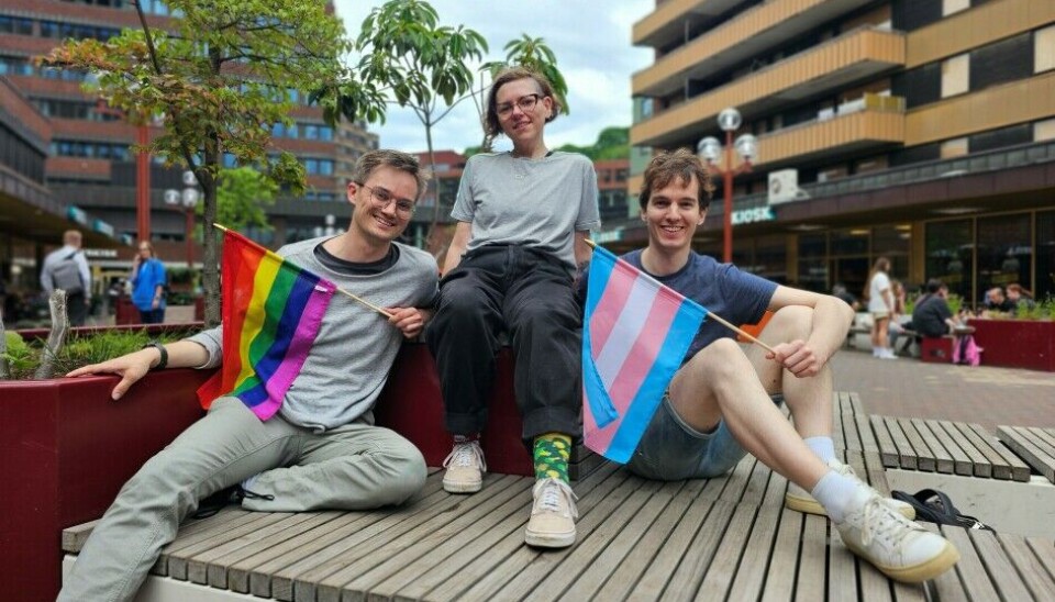 Fredrik Meyer, Marta Paciorkowska og Eirik Sletteberg bak møteplassen og Slack-en Ctrl+Alt+Queer håper å gi skeive IT-folk og utviklere et fristed.
