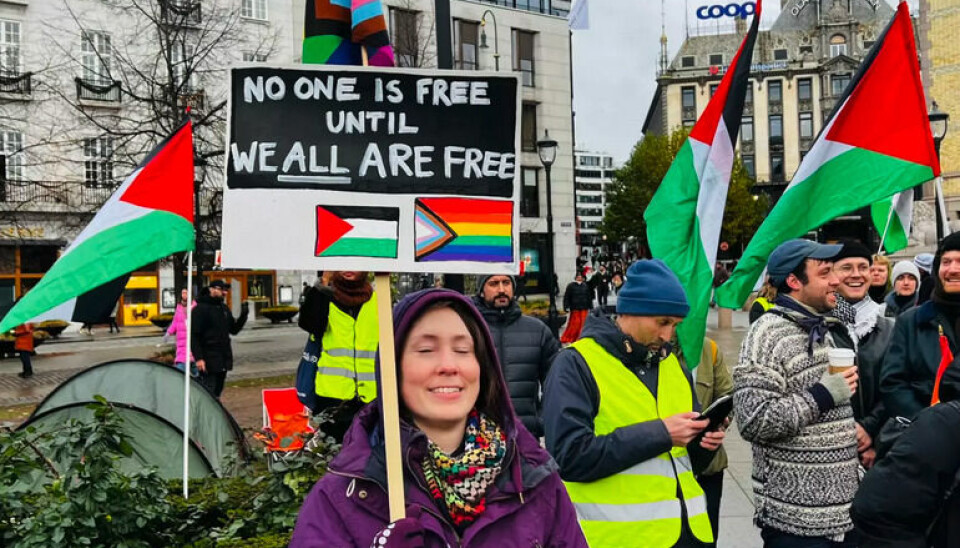 Fra demonstrasjonen Skeiv solidaritet med Palestina i november, som ble arrangert av Salam, og hvor organisasjoner som Skeiv Verden, AUF, Kvinnefronten, Inkluderende Feminisme, Garmeres, PKI, Rødt, Steatornis, Norges Fredslag, Norges Fredsråd og Fellesutvalget for Palestina sluttet seg til.