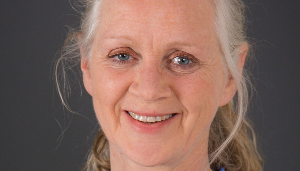 – Med unntak av enkelte spørsmål, som for eksempel fedrekvote i foreldrepermisjonen, er det større oppslutning om likestilling og likestillingstiltak blant kvinner enn blant menn. Det gjelder også kjønnsmangfold, sier Ragni Hege Kitterød.