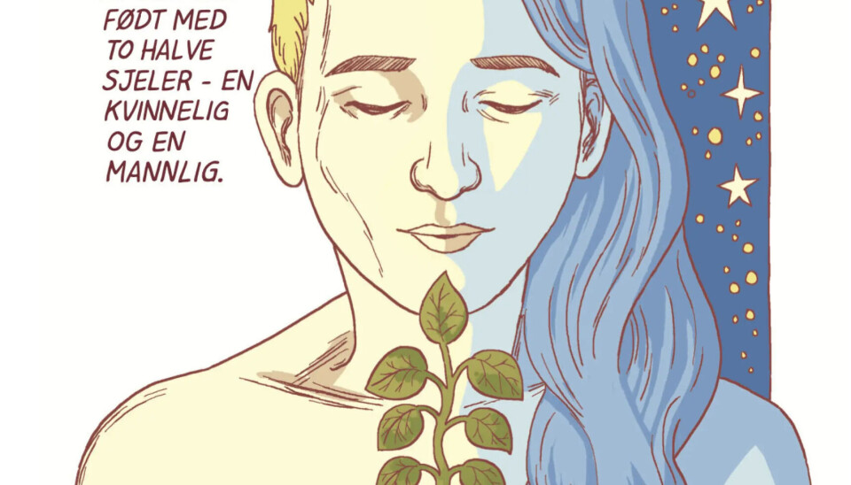 «Gender Queer: A Memoir» av Maia Kobabe