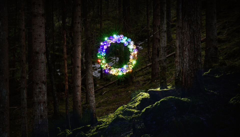 Fotoverket inspirert av gravsteinen til Jon Savio har vunnet sin femte pris i utlandet.