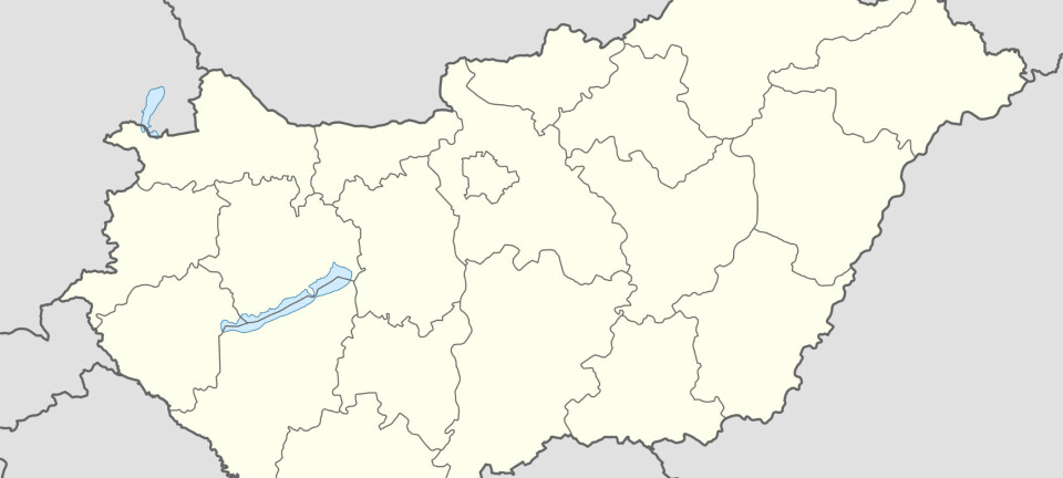 Utlevering av aktivist til Ungarn var ulovlig, slår tysk domstol fast