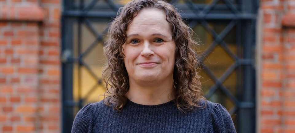 Pride-flagging: Uenighet i Partiet Sentrum