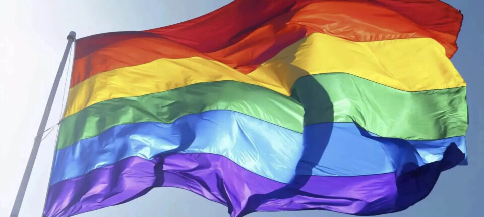 Alle regnbueflaggene Oslo Pride donerte til skoler er revet bort: – Det er akkurat sånn det skal være