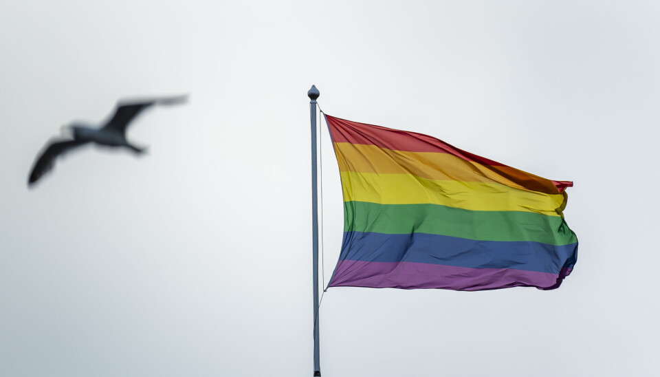 Alle prideflaggene i Volda og Ørsta ble revet ned natt til lørdag. Saken er anmeldt.