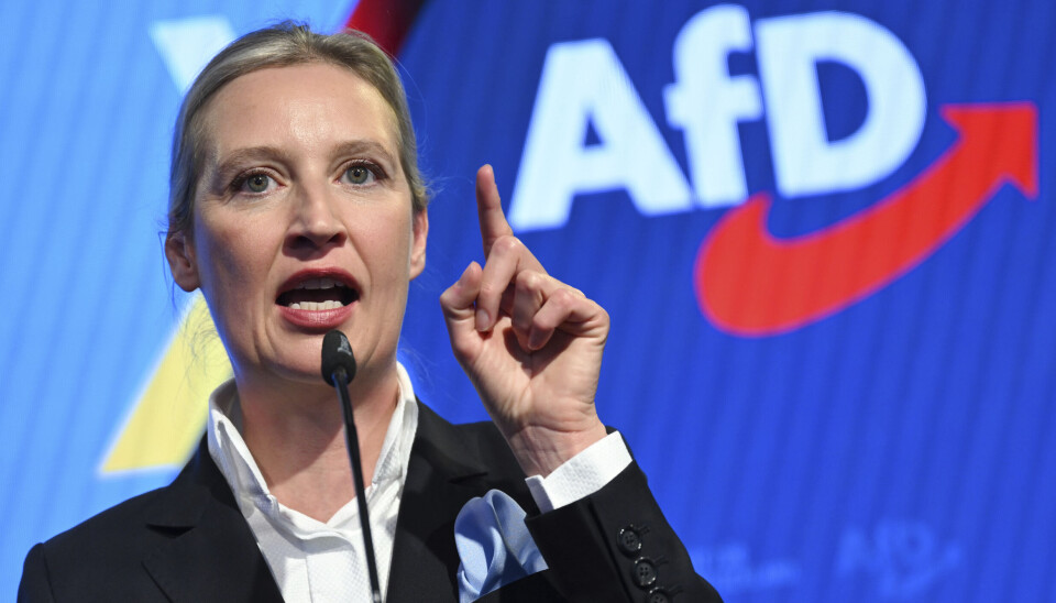 Tysk sikkerhetstjeneste har satt nok en regional avdeling i partiet AfD på lista over høyreekstreme grupper. Her holder en av partiets ledere, Alice Weidel, tale under en valgvake i februar i år.