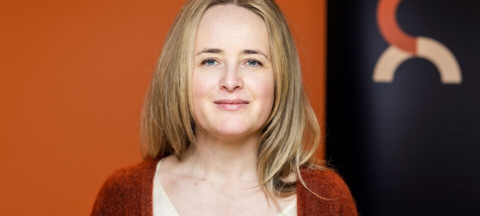 Storbritannia lar seg inspirere av ICE: – Skremmende utvikling