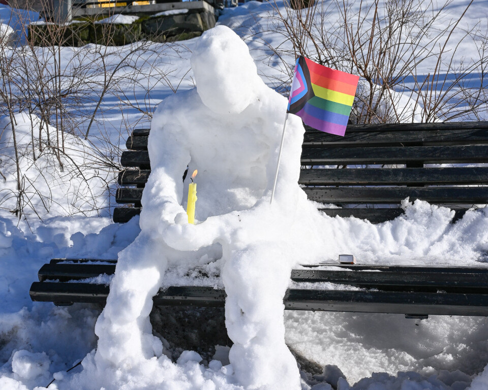 Haglund's Line Se bildene fra Vinterpride